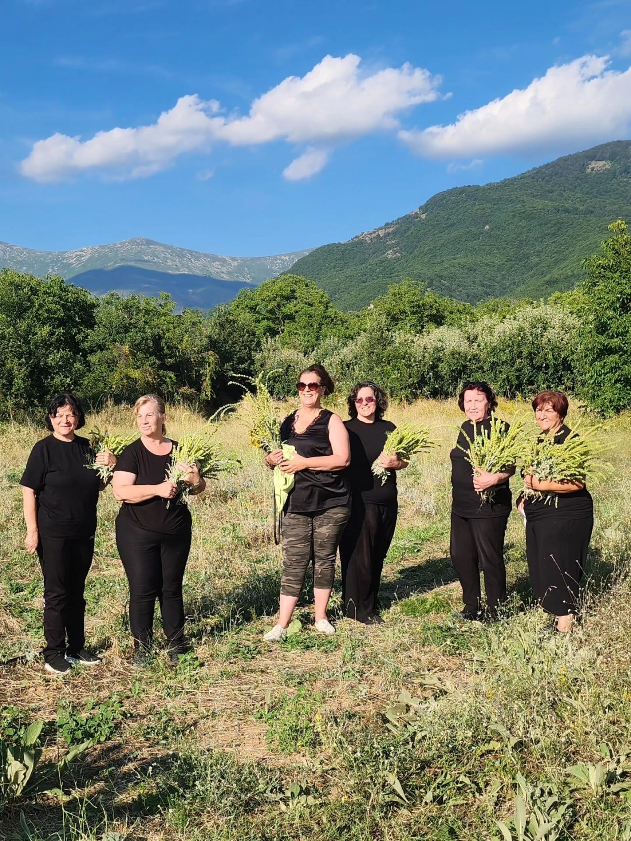 Руралните жени од Преспа ја започнаа бербата на лековитиот планински чај