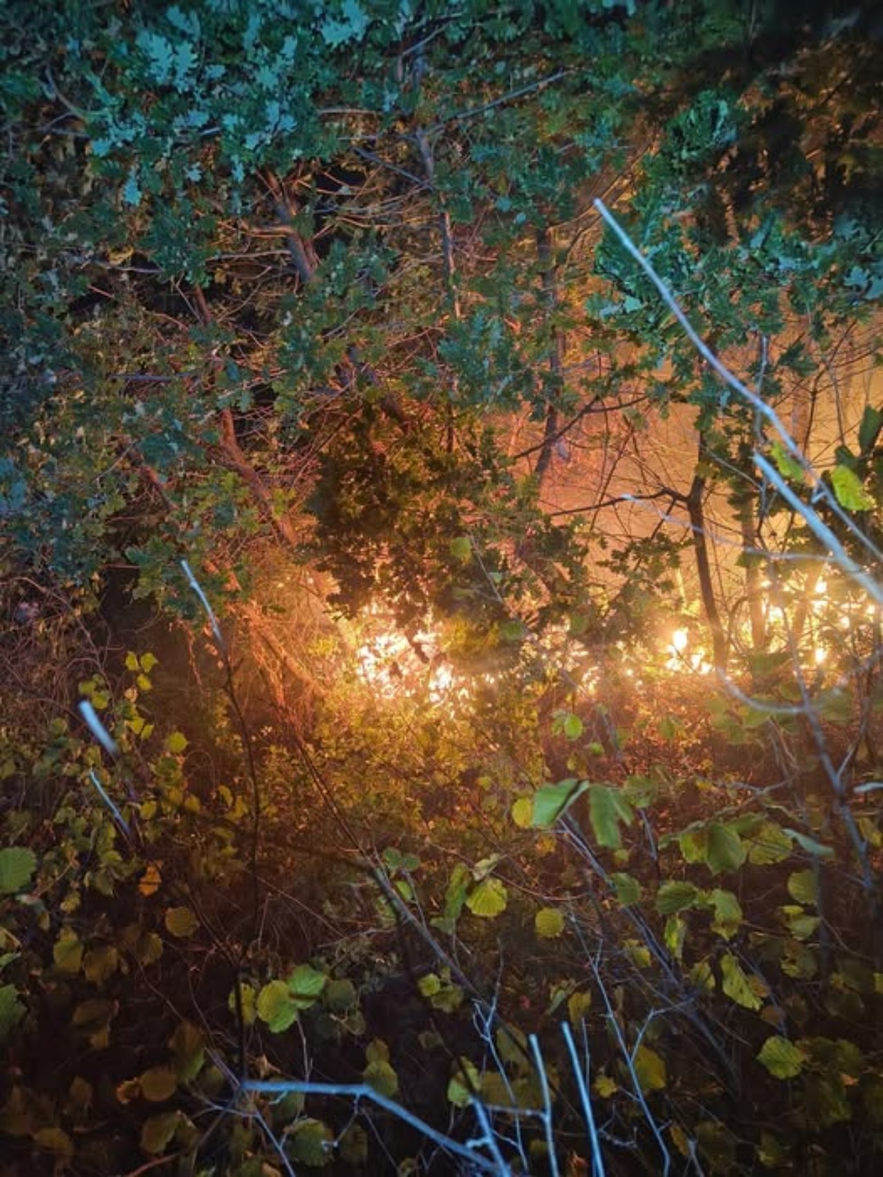 Вечерва пожар се шири во прилепско, мештаните бараат помош во гасење на огнот 