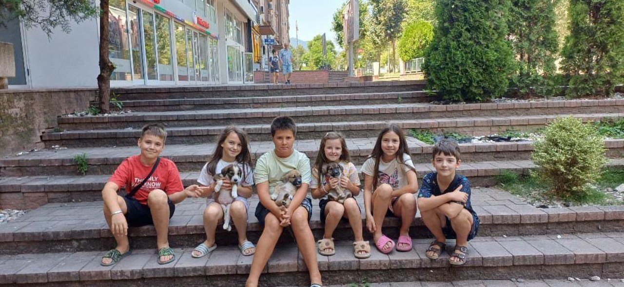 Битолската „малска банда“ во мисија: Љубов и грижа за оставените кученца кај Аурум